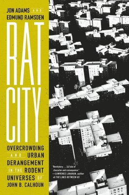 Rat City 1