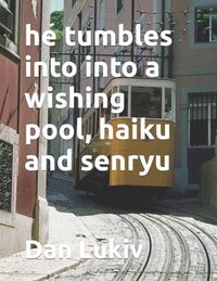 bokomslag He Tumbles Into Into A Wishing Pool, Hai