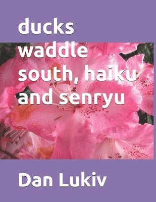 bokomslag Ducks Waddle South, Haiku And Senryu