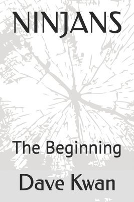 bokomslag Ninjans: The Beginning