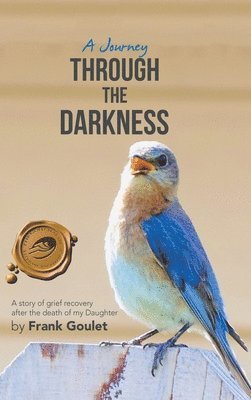 Journey Through the Darkness 1