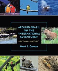 bokomslag Around Brazil on the &quot;International Adventurer&quot;