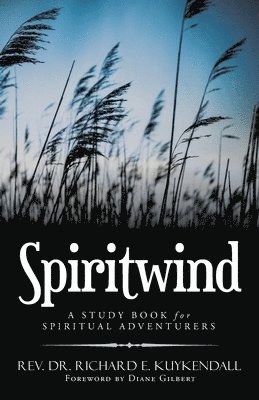 bokomslag Spiritwind