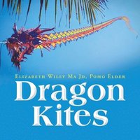 bokomslag Dragon Kites