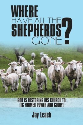 Where Have All the Shepherds Gone? 1