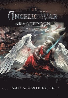 bokomslag The Angelic War