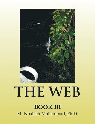 The Web 1