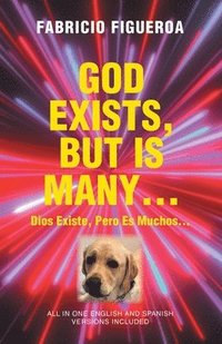 bokomslag God Exists, But Is Many...