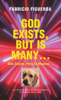 bokomslag God Exists, But Is Many...