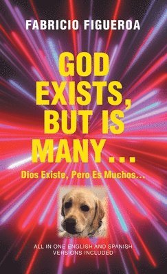 bokomslag God Exists, But Is Many...
