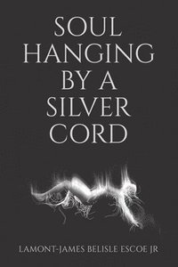 bokomslag Soul Hanging by a Silver Cord