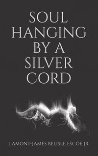 bokomslag Soul Hanging by a Silver Cord