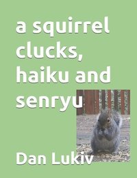 bokomslag A Squirrel Clucks, Haiku And Senryu