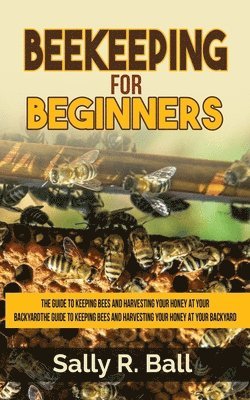 bokomslag Beekeeping For Beginners