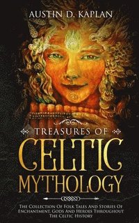 bokomslag Treasures Of Celtic Mythology