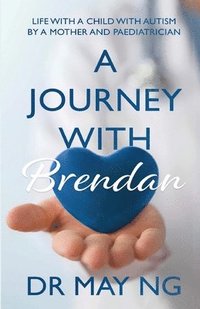 bokomslag A Journey with Brendan