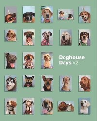 bokomslag Dog Yearbook Vol. 2