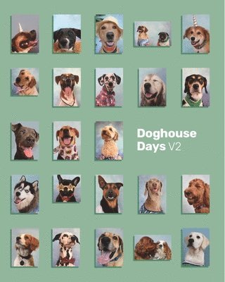 bokomslag Doghouse Yearbook