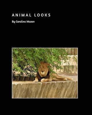 bokomslag Animal Looks