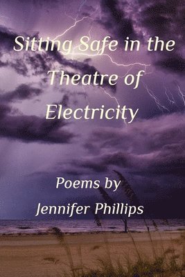 bokomslag Sitting Safe In the Theatre of Electricity