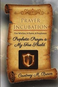 bokomslag Prayer Incubation