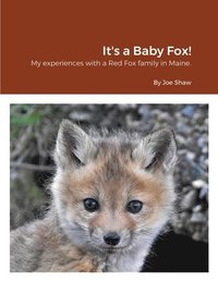 bokomslag It's a Baby Fox!