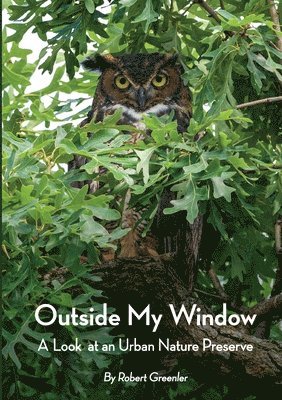 Outside My Window