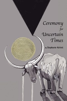 bokomslag Ceremony for Uncertain Times