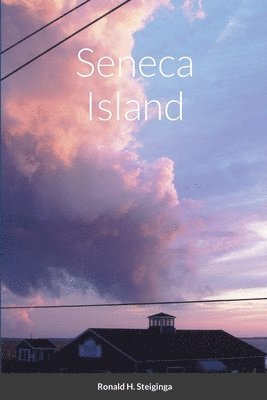 bokomslag Seneca Island