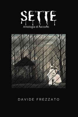 Davide Frezzato - Sette, Häftad