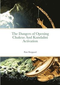 bokomslag The Dangers of Opening Chakras And Kundalini Activation