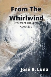 bokomslag From The Whirlwind
