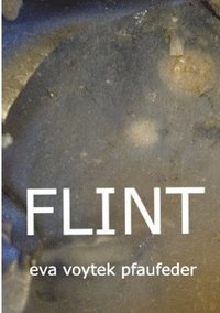 bokomslag Flint