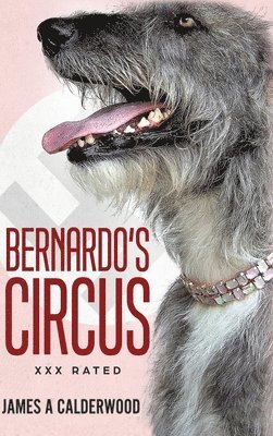 bokomslag bernado's Circus