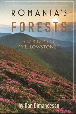 bokomslag Romania's Forests