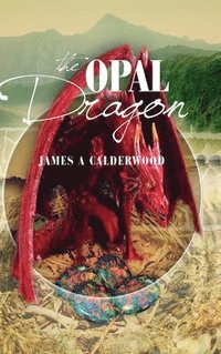 bokomslag Opal Dragon