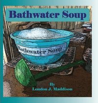 bokomslag Bathwater Soup