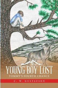 bokomslag Young Boy Lost