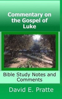 bokomslag Commentary on the Gospel of Luke