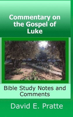 Commentary on the Gospel of Luke 1