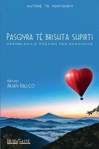 bokomslag Pasqyra të brishta shpirti