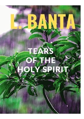 bokomslag Tears of the Holy Spirit