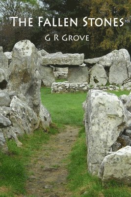 Fallen Stones
