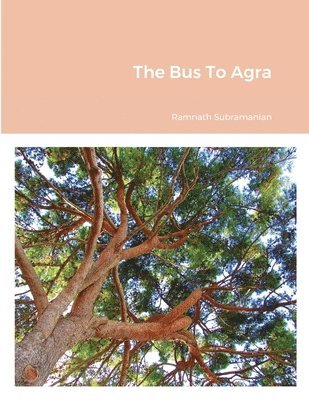Bus To Agra
