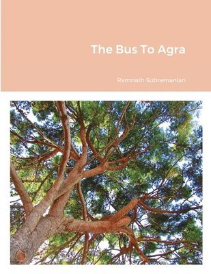 The Bus To Agra 1