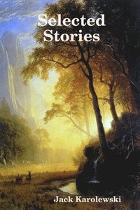 bokomslag Selected Stories