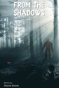 bokomslag From The Shadows Vol 2