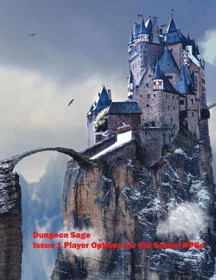 David Frederiksen, John Frohbergh - Dungeon Sage, Häftad