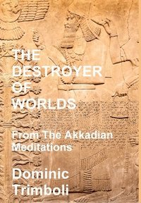 bokomslag The Destroyer Of Worlds: From the Akkadian Meditations