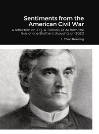 bokomslag Sentiments from the American Civil War